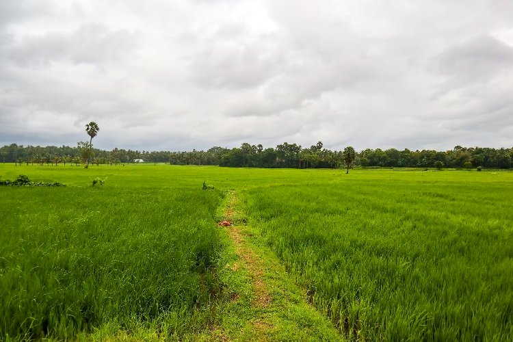Agricultural Land: Wise Investment or Potential Hazard?